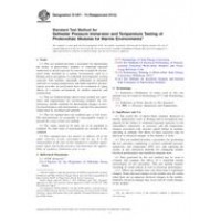 ASTM E1597-10(2015)