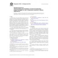 ASTM F2876-10(2015)