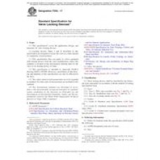 ASTM F993-17