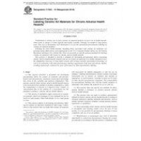 ASTM C1023-10(2018)