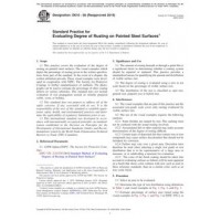 ASTM D610-08(2019)
