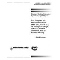 AWS B2.1-1-008:2002 (R2013)