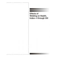 AWS EWH-INDEX-I-XIII-2008
