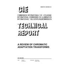 CIE 160:2004