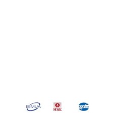 EEMUA Publication 231