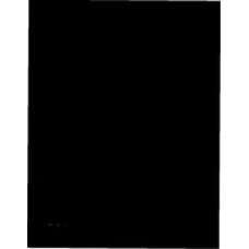 IEEE C37.99-1980