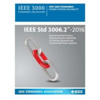 IEEE 3006.2-2016 IEEE 3006.2-2016