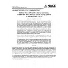 NACE 41013