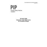 PIP INEG1000-EEDS