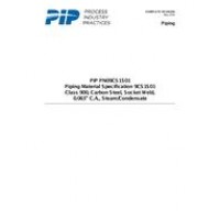 PIP PN09CS1S01