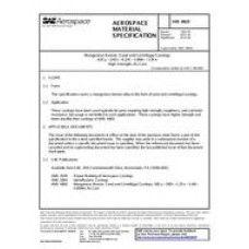 SAE AMS4862F
