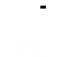 SAE AS403A