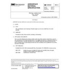 SAE AMS4820E