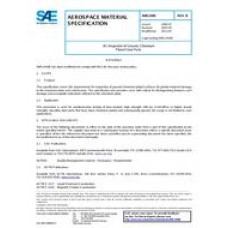 SAE AMS2440B