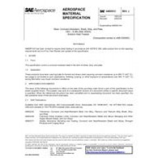 SAE AMS5513J