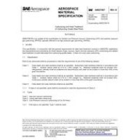 SAE AMS2759/7B SAE AMS2759/7B