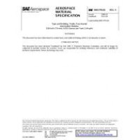 SAE AMS3793/10A