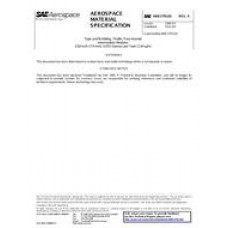 SAE AMS3793/10A