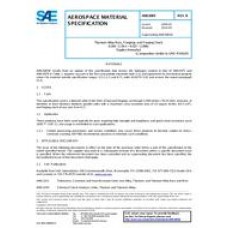 SAE AMS6905B