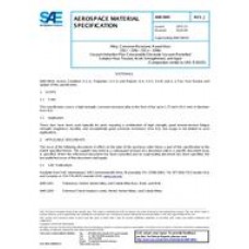 SAE AMS5845J