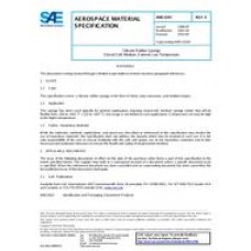 SAE AMS3193E