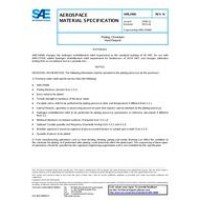 SAE AMS2406N