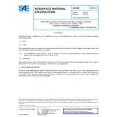 SAE AMS5667N