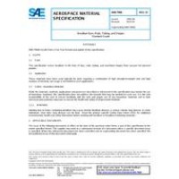 SAE AMS7906D
