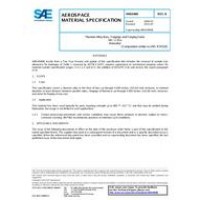 SAE AMS6900B