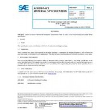SAE AMS4845J