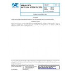 SAE AMS3795B