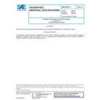 SAE AMS3796/3B