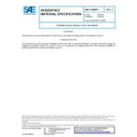 SAE AMSP29609A SAE AMSP29609A