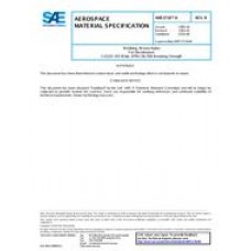 SAE AMS3718/4B
