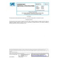 SAE AMS3787/6B