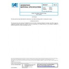 SAE AMS3816D