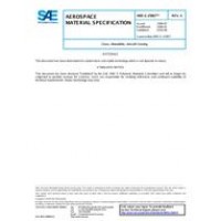 SAE AMSG25667A