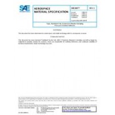 SAE AMS3807C