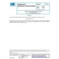 SAE AMS3904C