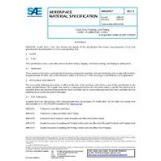 SAE AMS6476E