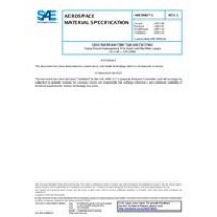SAE AMS3906/1C