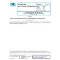 SAE AMS3906/3C