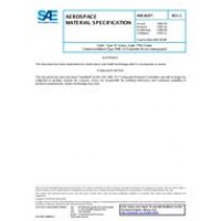 SAE AMS3829C