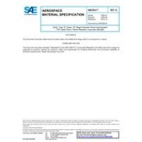 SAE AMS3834B SAE AMS3834B