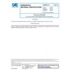 SAE AMS3892/8B