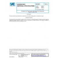 SAE AMS3895C