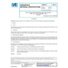 SAE AMS5916B