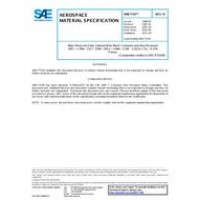 SAE AMS7724D