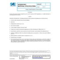 SAE AMS2428