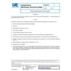 SAE AMS2428